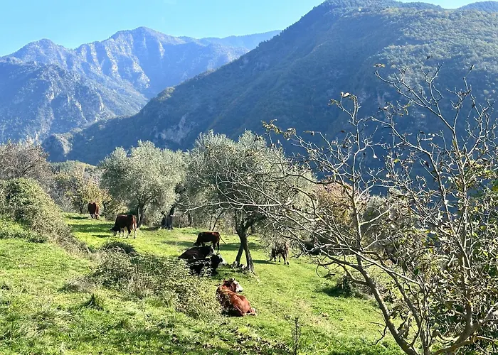 La Bergerie Des Cimes