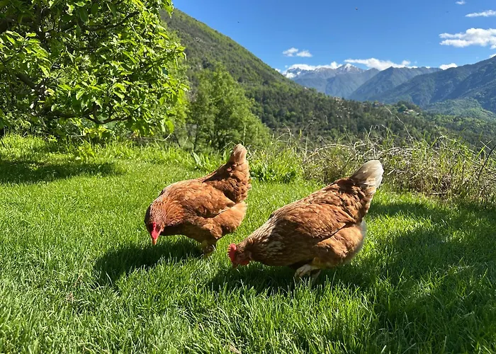 La Bergerie Des Cimes