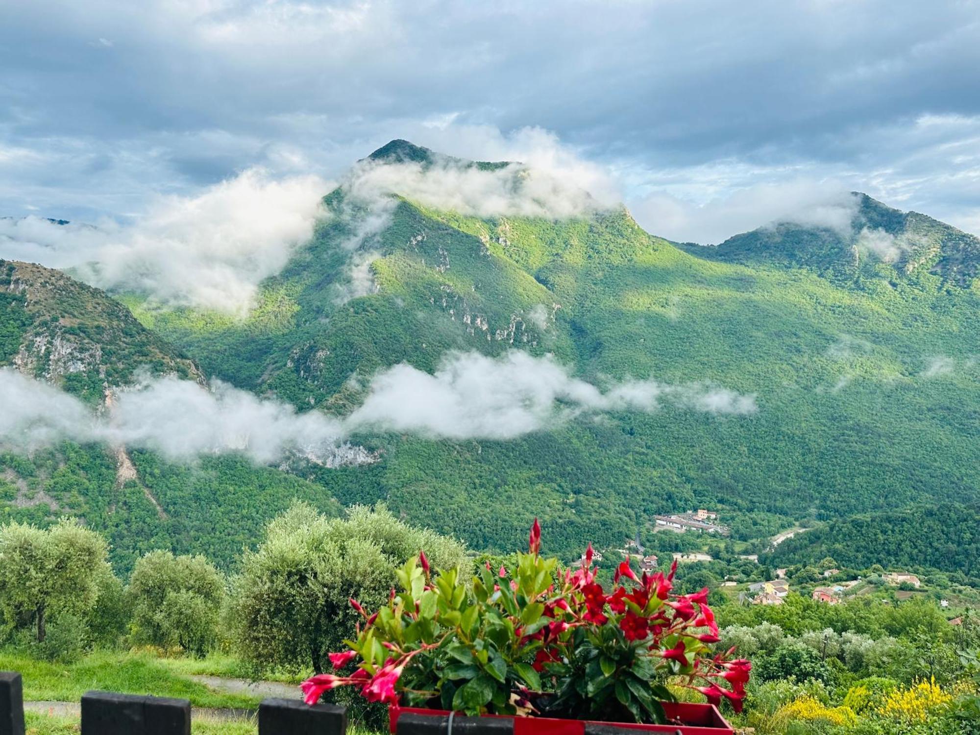 La Bergerie Des Cimes *
