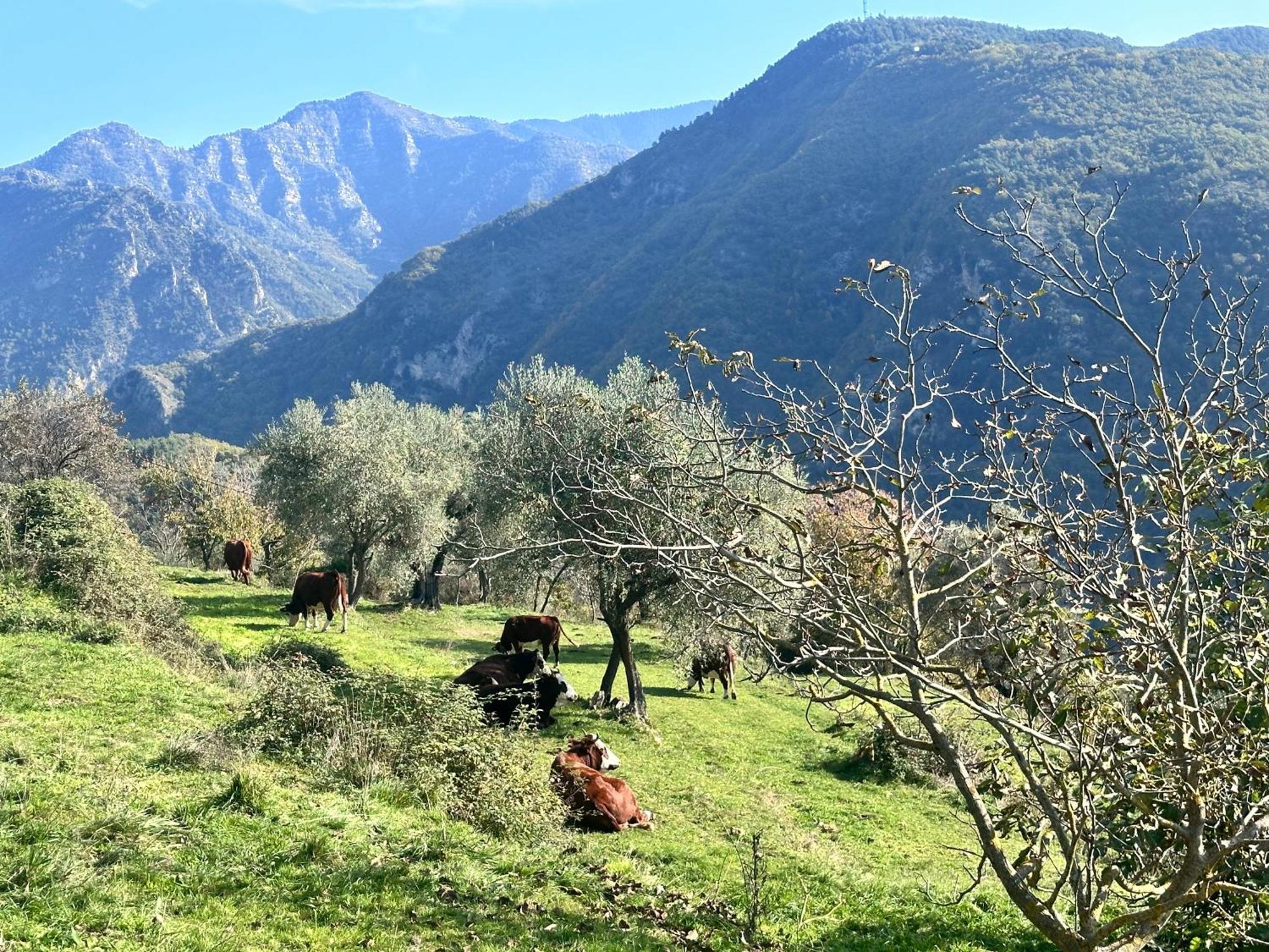 Villa La Bergerie Des Cimes